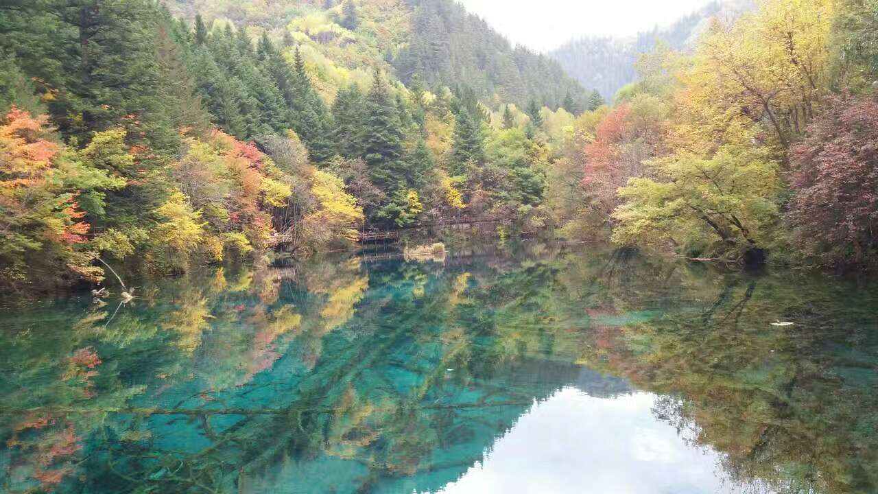 宁波普陀山旅游攻略：宁波、普陀山双飞三日游（住在山上）